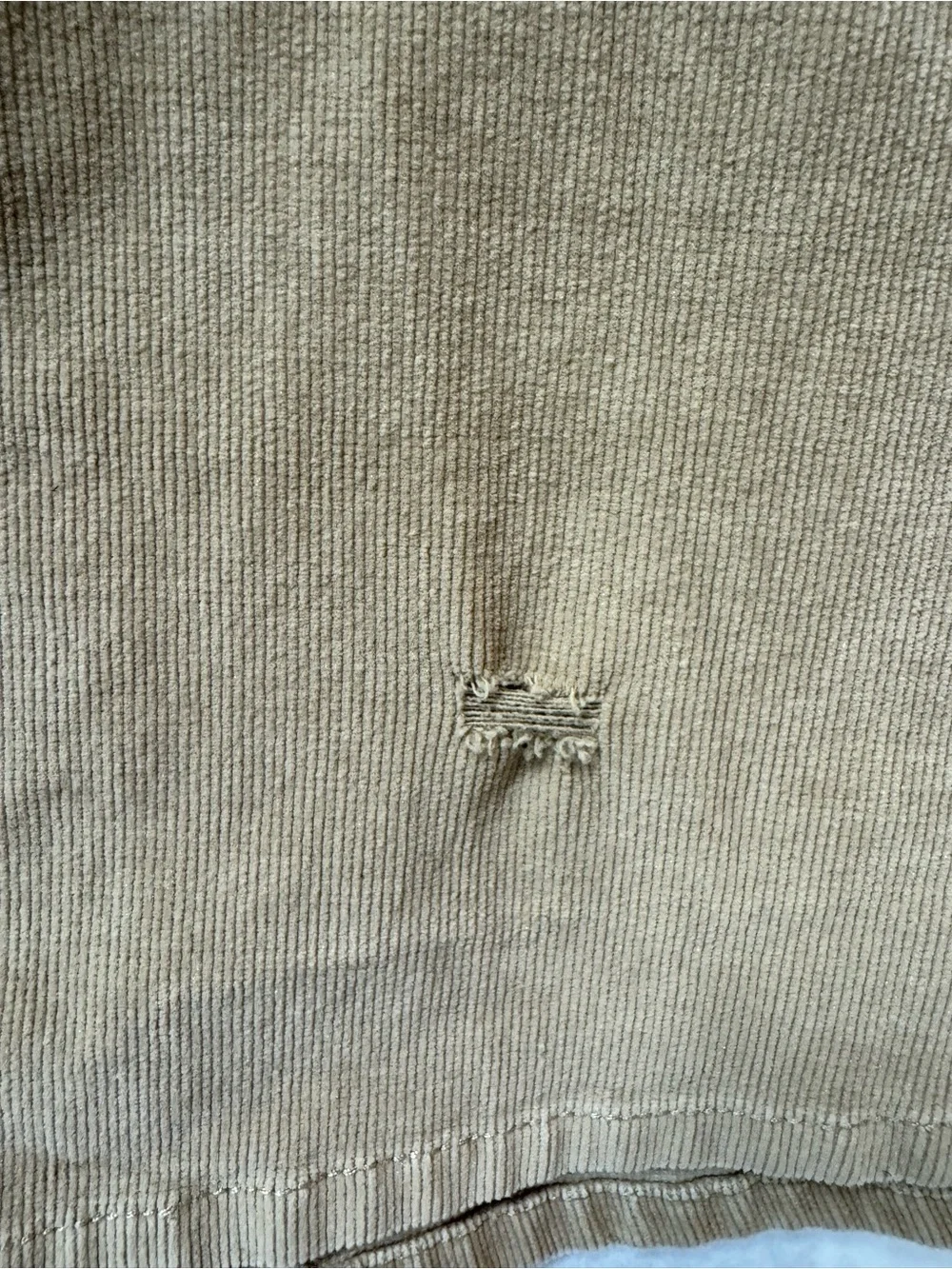 bebe stylish corduroy